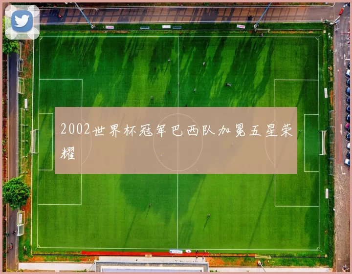 2002世界杯冠军巴西队加冕五星荣耀