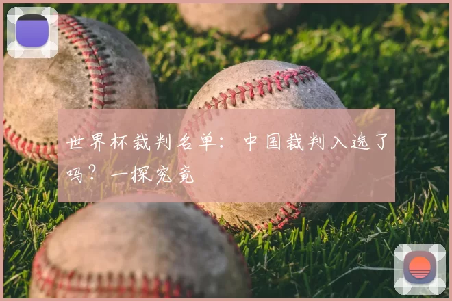 世界杯裁判名单:中国裁判入选了吗?一探究竟