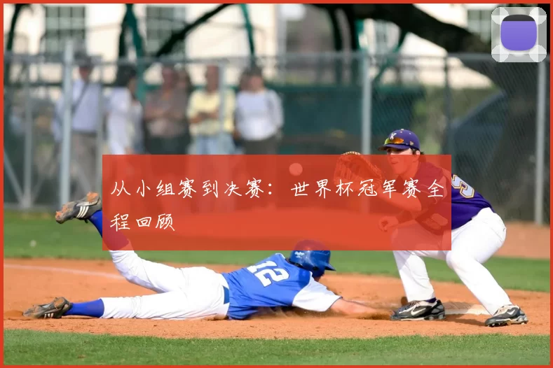 从小组赛到决赛:世界杯冠军赛全程回顾