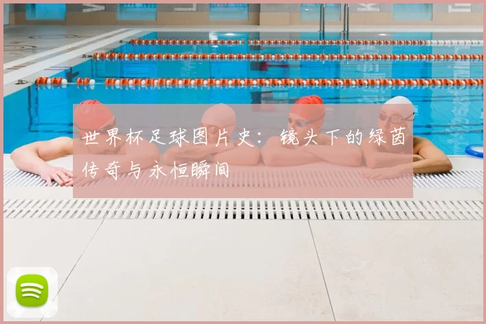 世界杯足球图片史:镜头下的绿茵传奇与永恒瞬间