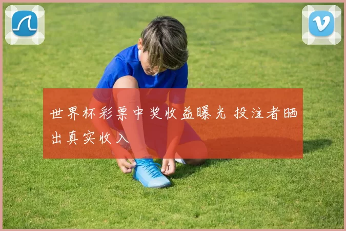 世界杯彩票中奖收益曝光 投注者晒出真实收入
