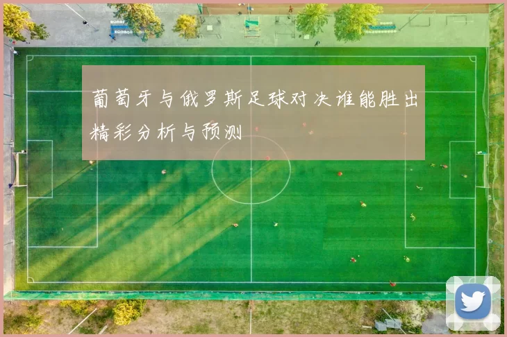 葡萄牙与俄罗斯足球对决谁能胜出精彩分析与预测