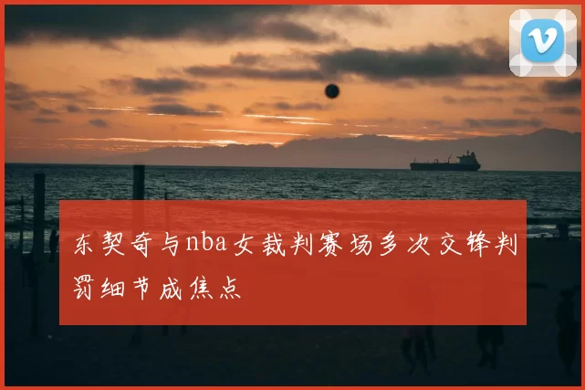 东契奇与nba女裁判赛场多次交锋判罚细节成焦点