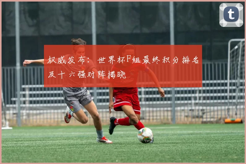 权威发布:世界杯F组最终积分排名及十六强对阵揭晓