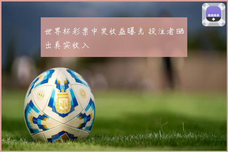 世界杯彩票中奖收益曝光 投注者晒出真实收入